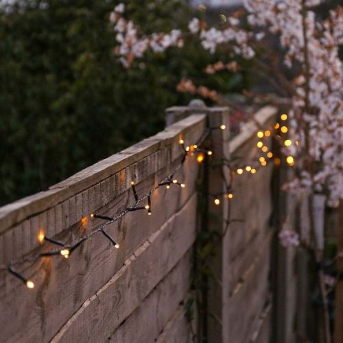 Garden Lighting