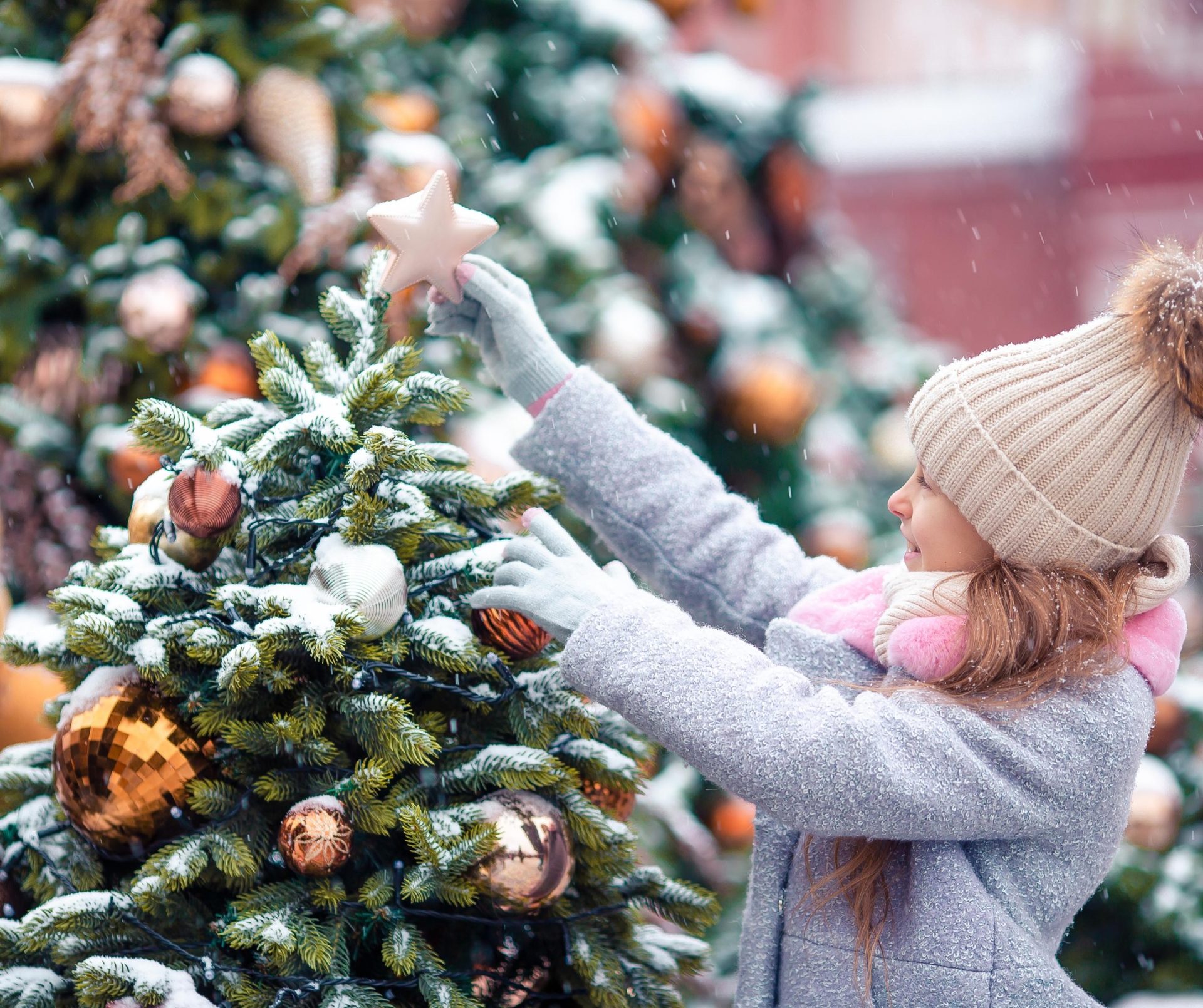Find the Perfect Christmas Tree at Stubbings Stubbings Nursery A