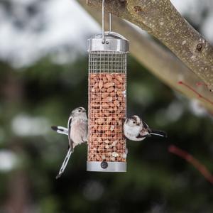 Bird Feeders