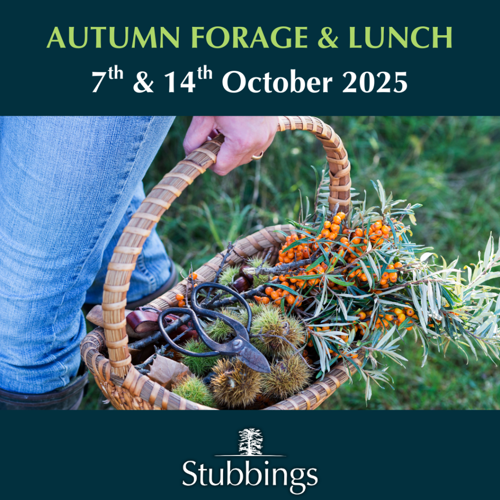 Autumn forage at stubbings