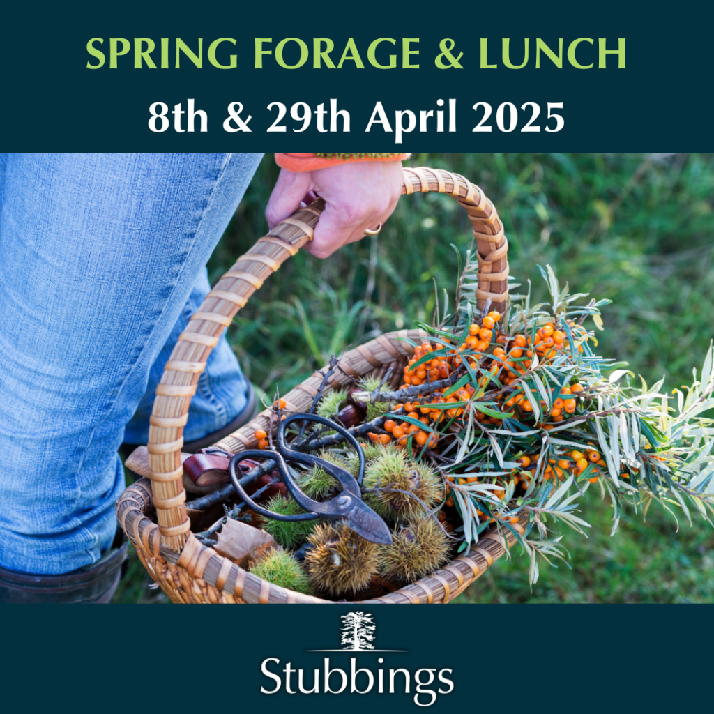 spring forage at stubbings april 2025