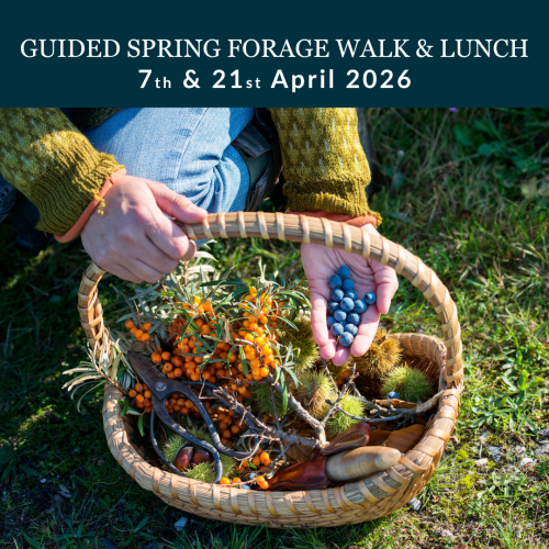 spring forage and lunch at stubbings