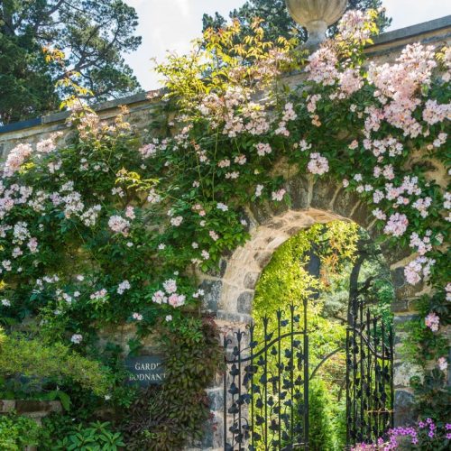 Location of Services