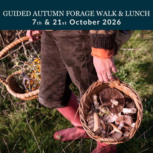 autumn forage at stubbings maidenhead