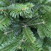 NORDMAN FIR POT GROWN 100/125