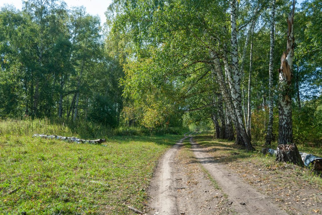 Garden Centre Berkshire - Stubbings Walking Trails