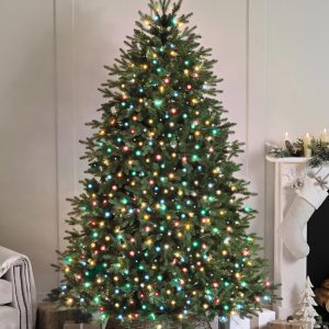 750 Compact Lights - Multicolour