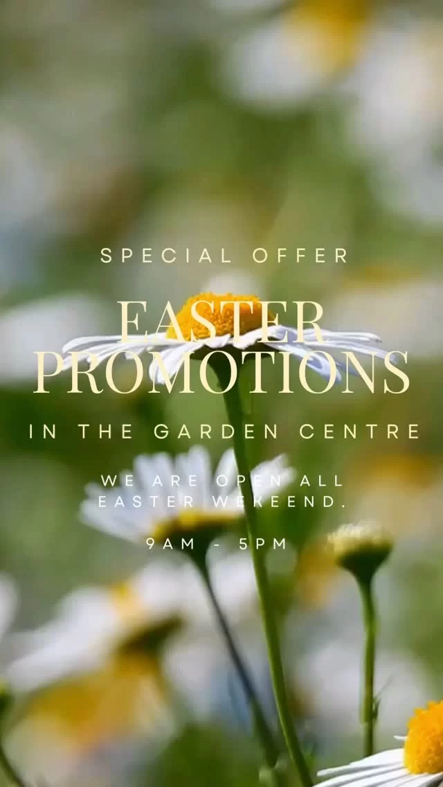 🌸 Easter Weekend Specials at Stubbings! 🌸 We’ve got some cracking in-store offers this Easter to get your garden blooming! 🌿🌼
 🪴 Miracle Gro All-Purpose Compost – £8.95 each or 4 bags for £30 🌲 Levington Chipped Bark – £4.95 each or 3 bags for £12 🌱 Miracle Gro Evergreen Complete 4-in-1 Lawn Care (360sqm) – was £31.95, now £24.95 💜 Lavandula (7.5L – Munstead, Arctic Snow, Hidcote) – £24.95 each or 2 for £40 (Garden Club members only) 🌸 Hairy Pot Herbaceous Perennials – £7.95 each or 3 for £18  🌺 10.5cm Geraniums & New Guinea Impatiens – £6.50 each or 3 for £15 🌿 Hairy Pot Herbs – £6.95 each or 3 for £15  🌼 Miracle Gro Continuous Release Plant Food (All-Purpose, Azalea/Camellia/Rhododendron, Rose & Shrub) – £8.95 each or 2 for £14

🕘 We’re open all Easter weekend, 9am–5pm, including Easter Sunday! Pop in, enjoy the spring vibes, and stock up on these limited-time offers.
See you then! 🌞

#StubbingsNursery #EasterOffers #GardenCentreDeals #SpringGardening #EasterAtStubbings #BerkshireGardening