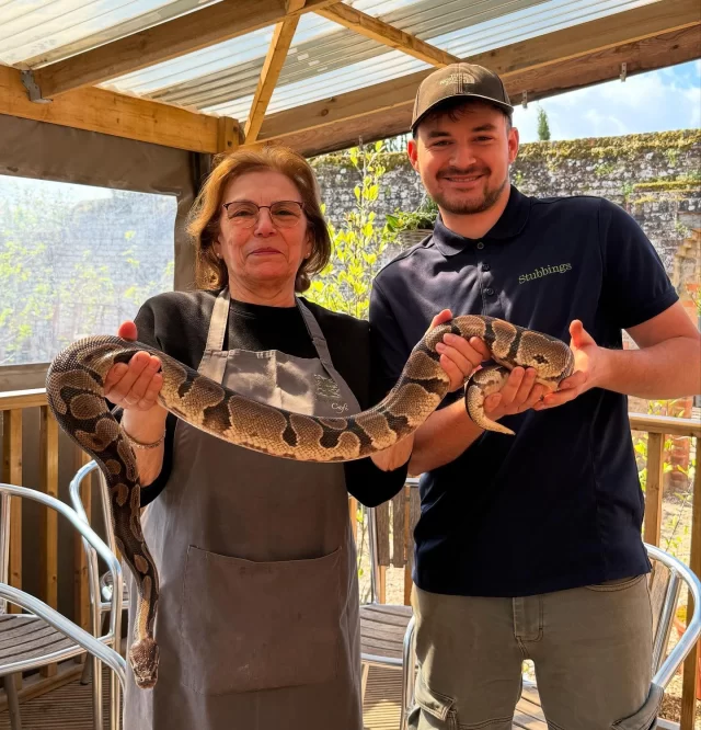 We loved having Jess from @wildscience at Stubbings today for our Easter Story Show! 🐣📖

It was such a treat to meet an amazing variety of unique animals — the children had a fantastic time learning about them (and getting to hold them too!), and let’s be honest… so did the Stubbings team! 😄

A special shoutout to our personal favourite: Gary the Giant African Snail 🐌💚

We’d love to do it all again, so keep an eye on our website for future events!

#EasterAtStubbings #WildScienceFun #AnimalEncounters #FamilyFunDay #StubbingsNursery #EasterWorkshops #maidenhead #berkshire #easter #stubbings
