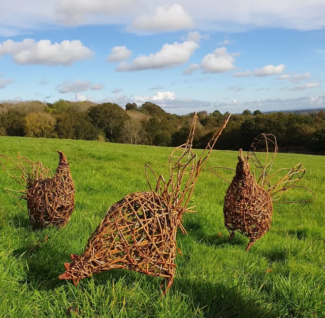 Join us on 19th June, for a full day workshop learning the art of willow weaving with @judith_needham 🐔

Spend the day learning the art whilst weaving your very own willow chicken sculpture (or any bird you fancy). Whether you’re a total beginner or have worked with willow before, you’ll learn the basics of random weave and some quirky techniques for combs, legs & tails -  all while chatting and enjoying a delicious lunch from the Café.

🎟️ £94.95 | All materials provided 📍Stubbings Nursery | Lunch & hot drink included
⏰ 10am - 4pm 

Tickets available via our website.
Let your creativity roost! 🐓💫
 #WillowSculpture #CreativeWorkshop #JudithNeedham #berkshireevents #GardenArt #MakeItYourself #ChickenSculpture #CraftDayOut #maidenhead #berkshirewhatson #stubbings #stubbingsnursery #craftworkshop