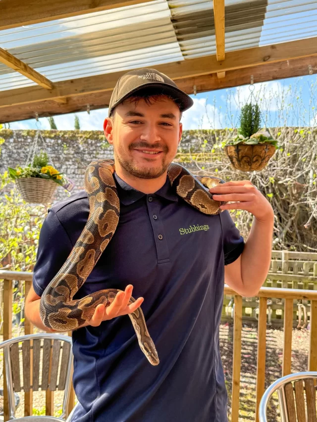🦎🐍🦉 Wild Science is coming back to Stubbings! 🐸🕷️🦔 Join us on 21st August for an Animal Encounter & Facts Workshop like no other! 🐾 Get hands-on with amazing creatures — from reptiles and mammals to amphibians and invertebrates — and learn wild facts from expert entertainers! 🧠✨

📍 3 exciting sessions: 🕙 10:00 – 10:45 🕚 11:00 – 11:45 🕧 12:30 – 1:15

Perfect for curious kids and families — don’t miss this fun, factual, and fascinating event! 🦎👨‍👩‍👧‍👦
👉 Spaces are limited, book your tickets via our website now! 

#AnimalEncounter #WildScience #FamilyFun #Reptiles #Mammals #CuriousMinds #EducationalFun #KidsEvent #AnimalWorkshop #berkshireevents #berkshirekids #thingstodomaidenhead #maidenhead #stubbings #windsor